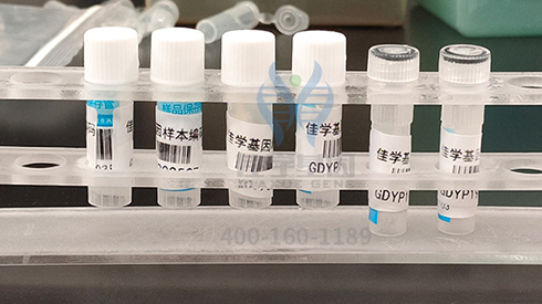 【佳学基因案例】癫痫基因检测、基因解码